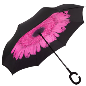 Printed Reversible Umbrella