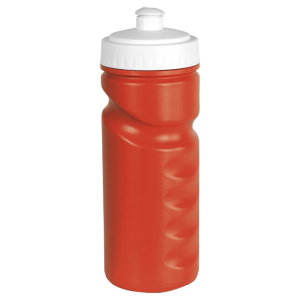 500ml Visiline Water Bottle